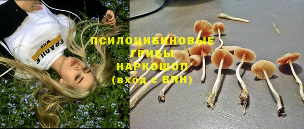 ECSTASY Алексин